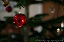 Glædelig jul!