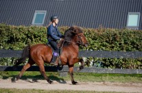 Klubstævne 2011