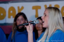 Skolefest 2011